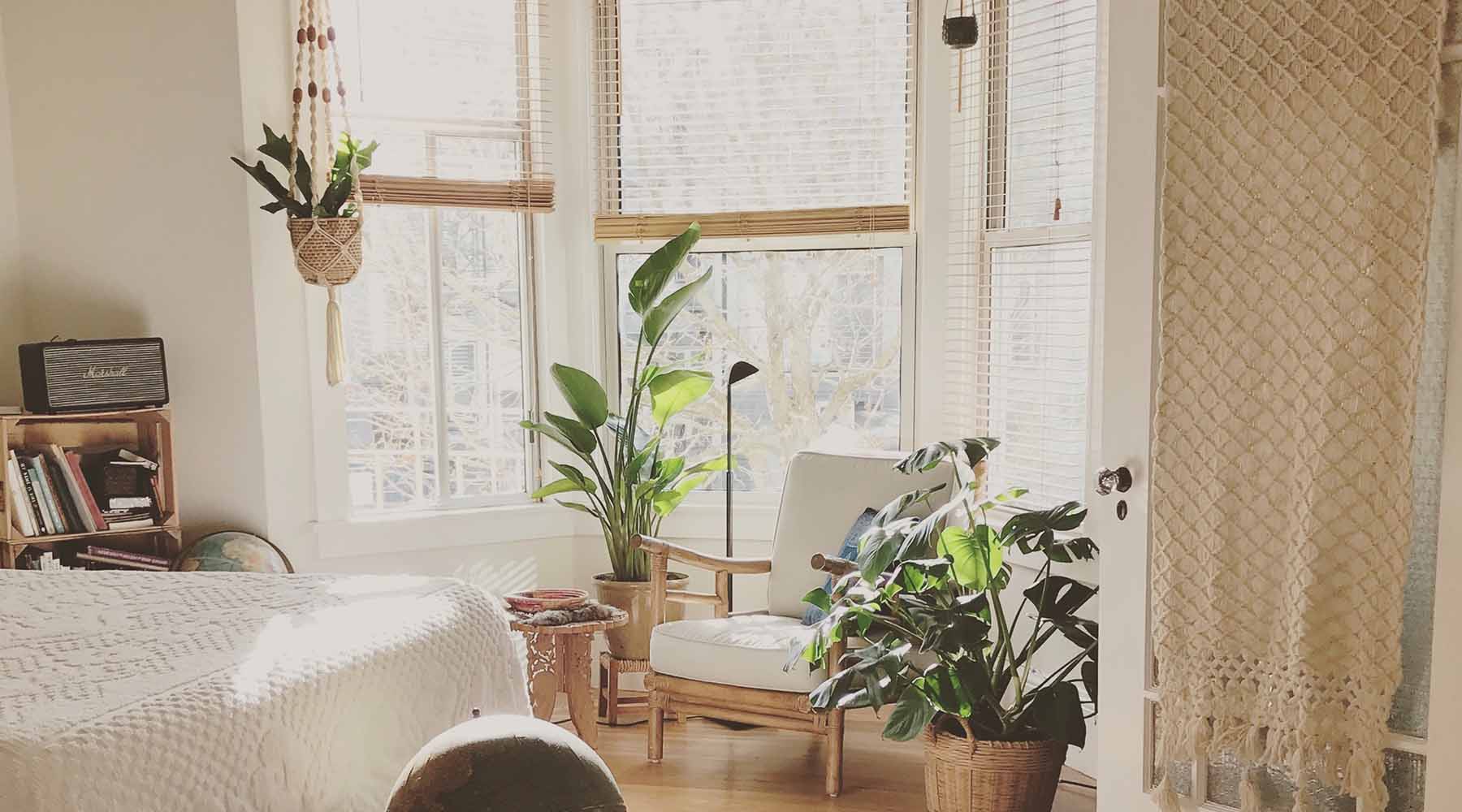 Greenery in the Interior