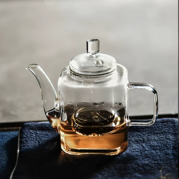 Japanese Heat Resistant Glass Teapot With Filter