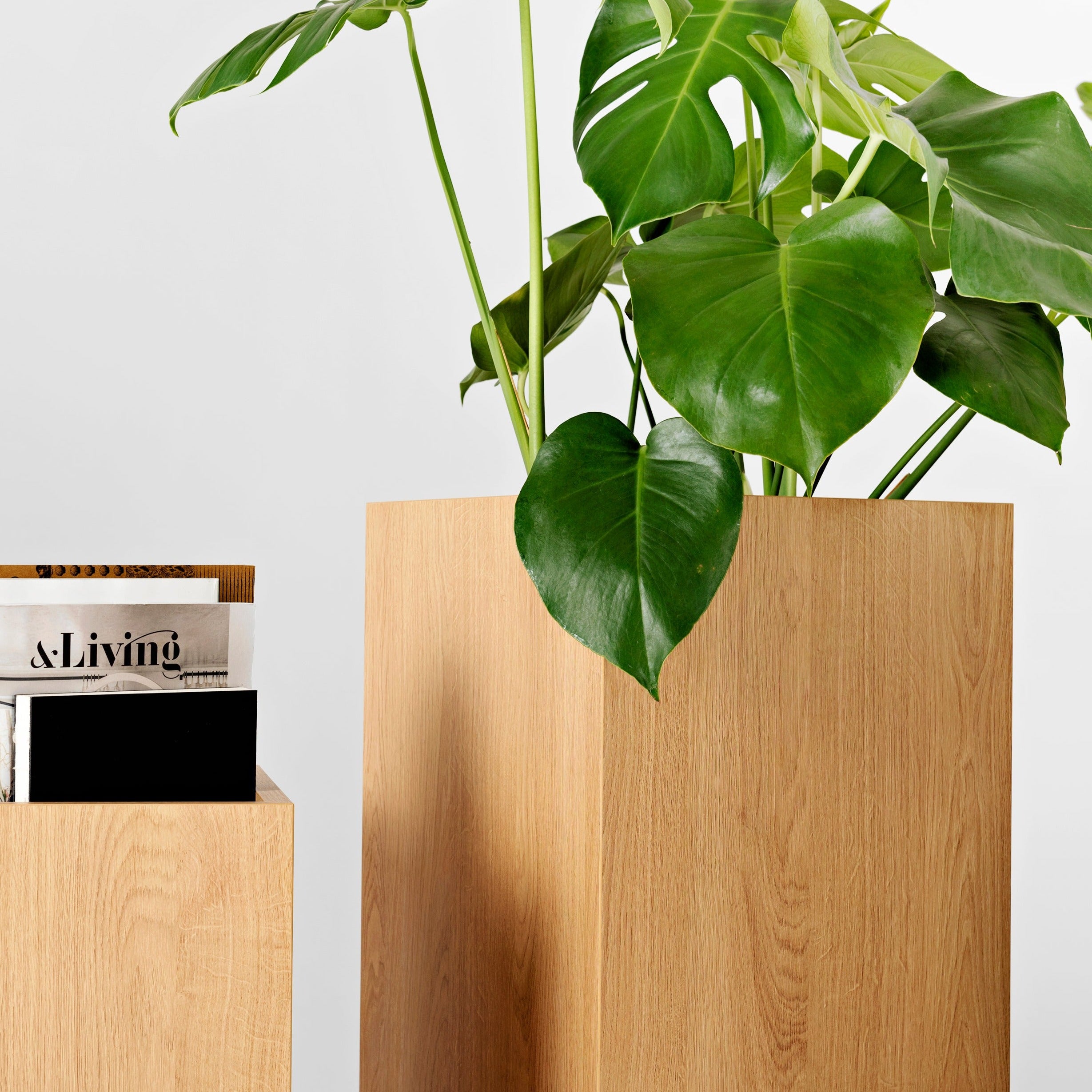 PALMUS Flowerpot Interior