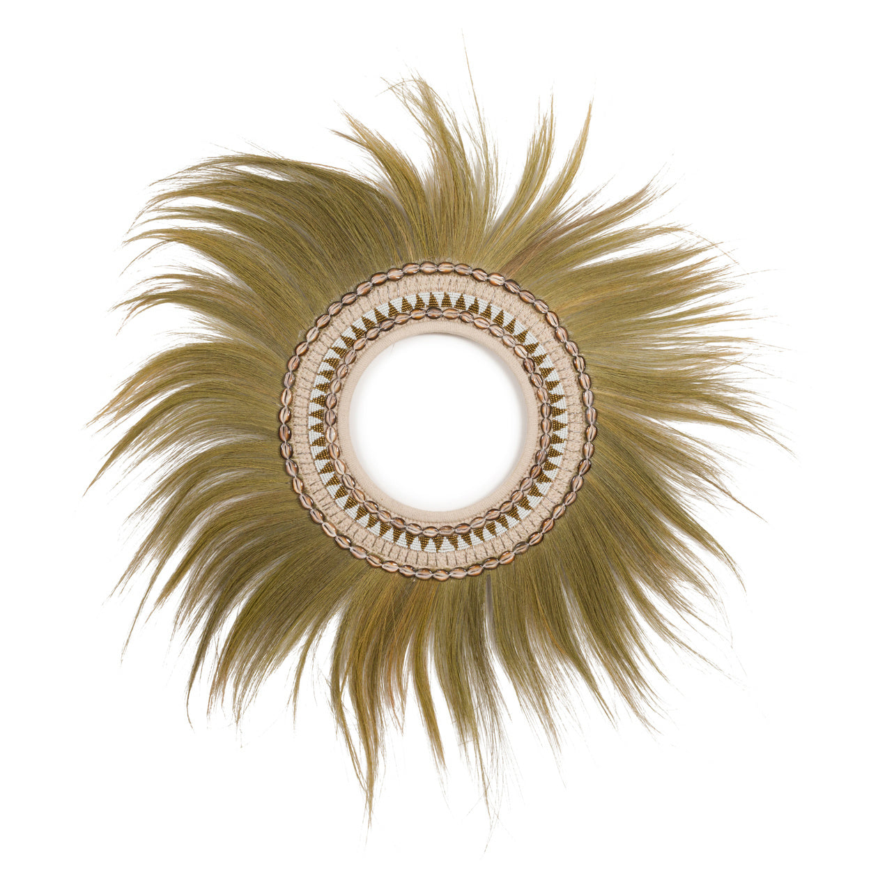 THE RAYUNG SHELL HOOP Wall Decor front view