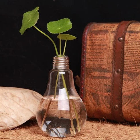 Light Bulb Transparent Glass Hydroponic Flower Vase