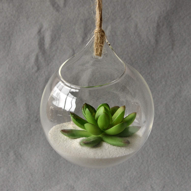 High Borosilicate Glass Plants Holder