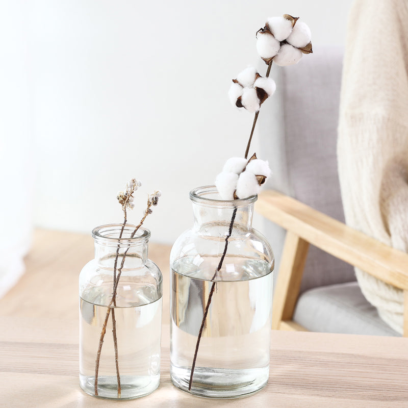 Small Hydroponic Glass Vase for Dry Flowers