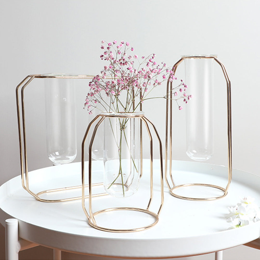 Hydroponic Vase for Home Decor with Iron Holder