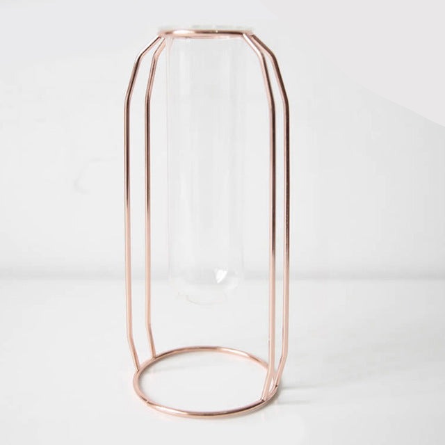 Hydroponic Vase for Home Decor with Iron Holder