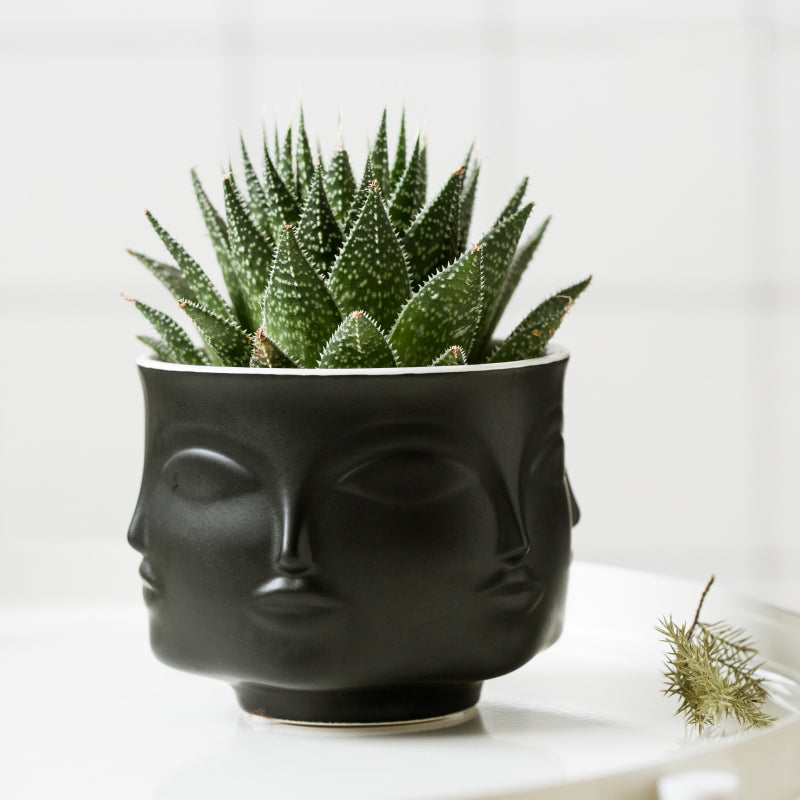Ceramic Face Design Flower Pot Nordic Style