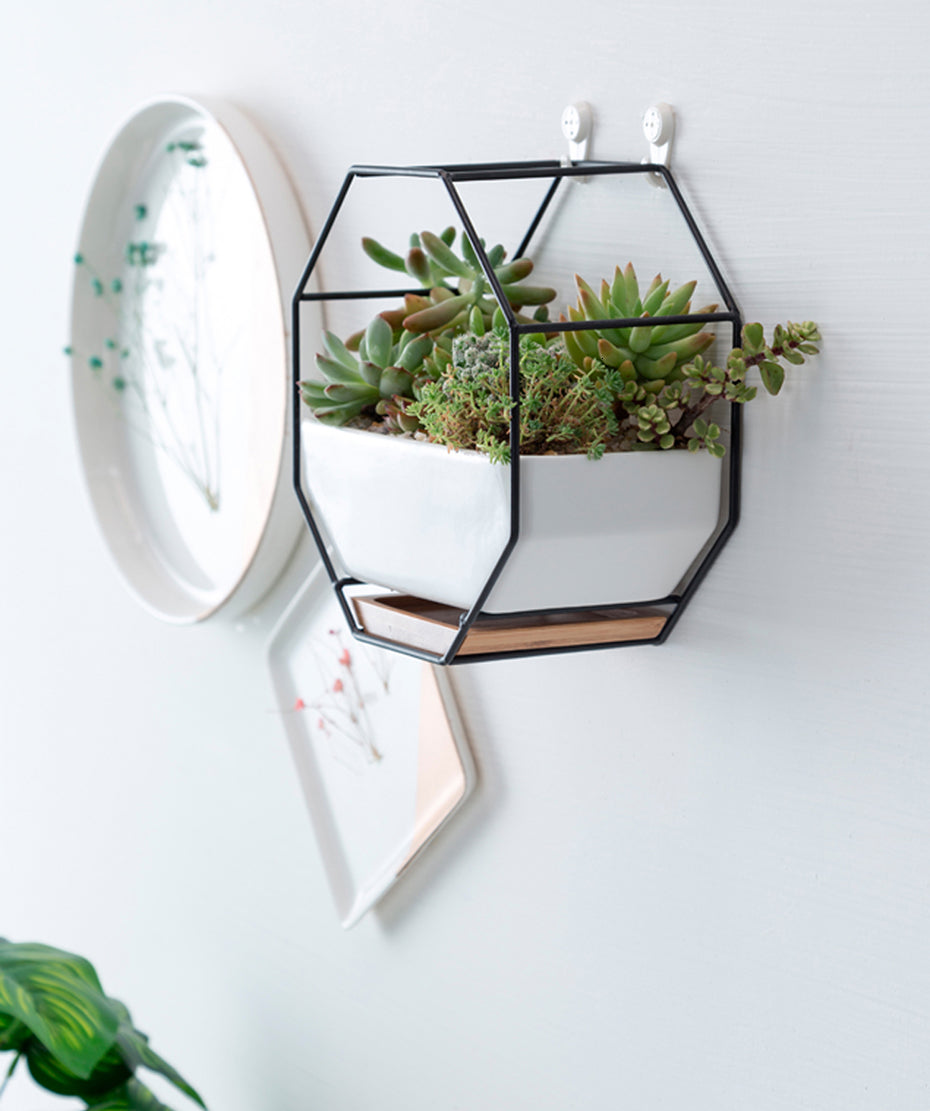 Simple Octagonal Geometric Wall Hanging Ceramic Flower Pot