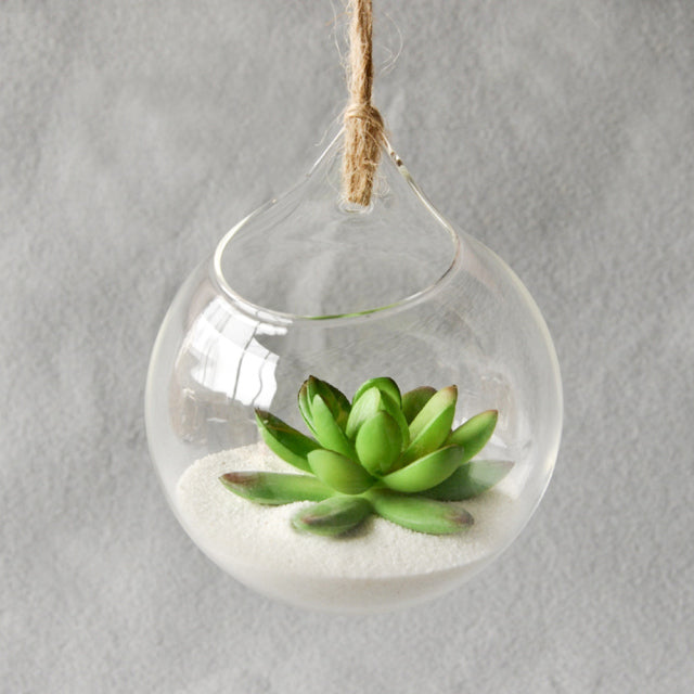High Borosilicate Glass Plants Holder