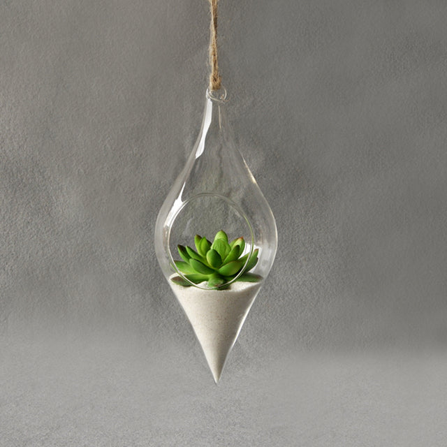 High Borosilicate Glass Plants Holder