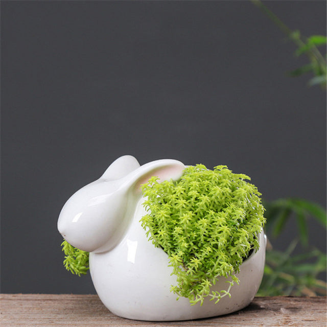 Cartoon Rabbits Flowerpot Succulents