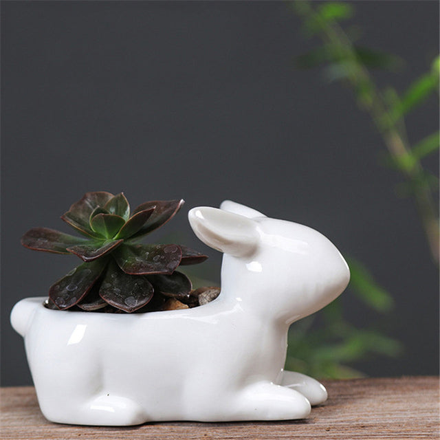 Cartoon Rabbits Flowerpot Succulents