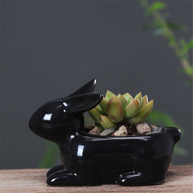 Cartoon Rabbits Flowerpot Succulents