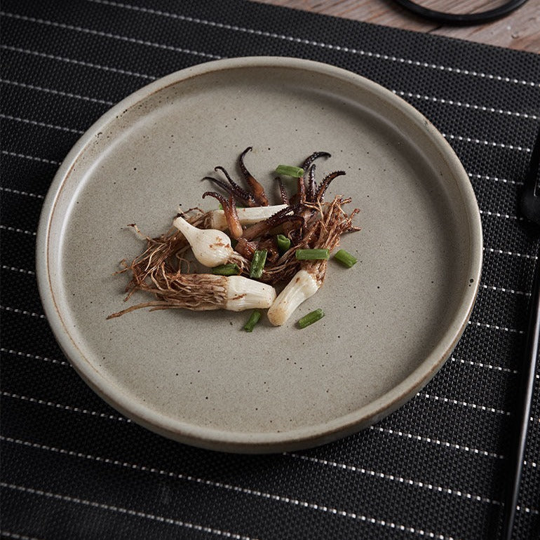 Japanese Simplicity Retro Coarse Pottery Plate