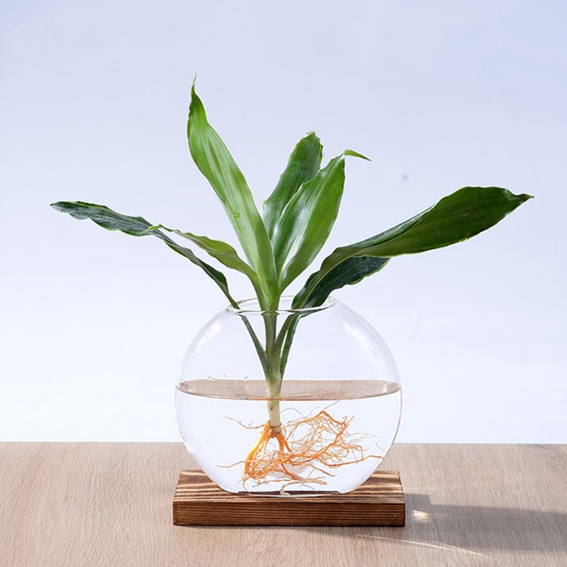 Desktop Round Crystal Glass