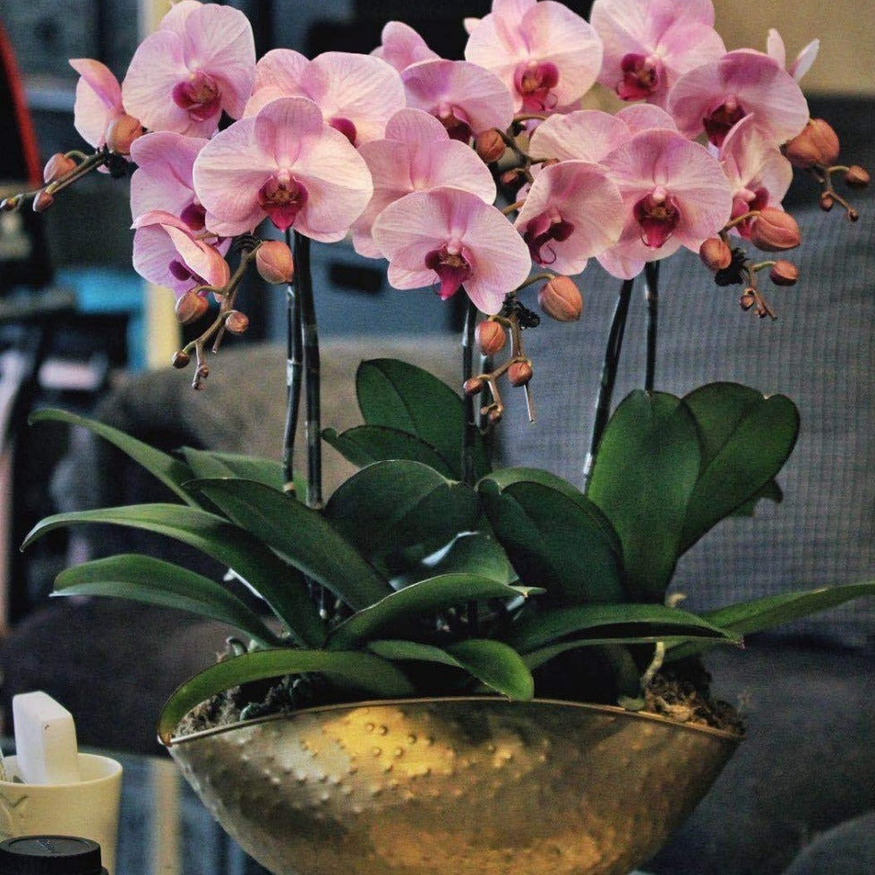 Handmade Golden Iron Flower Pot