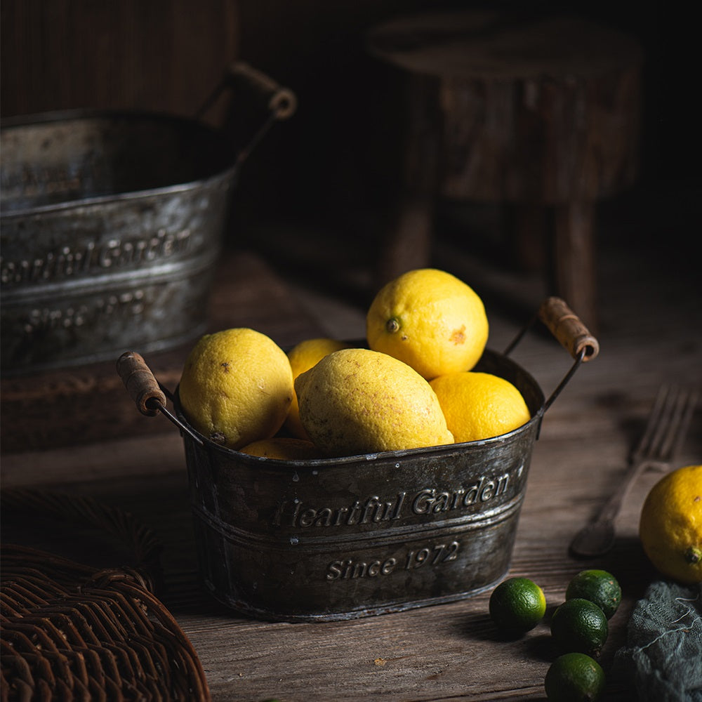 Vintage Country Metal Storage Basket