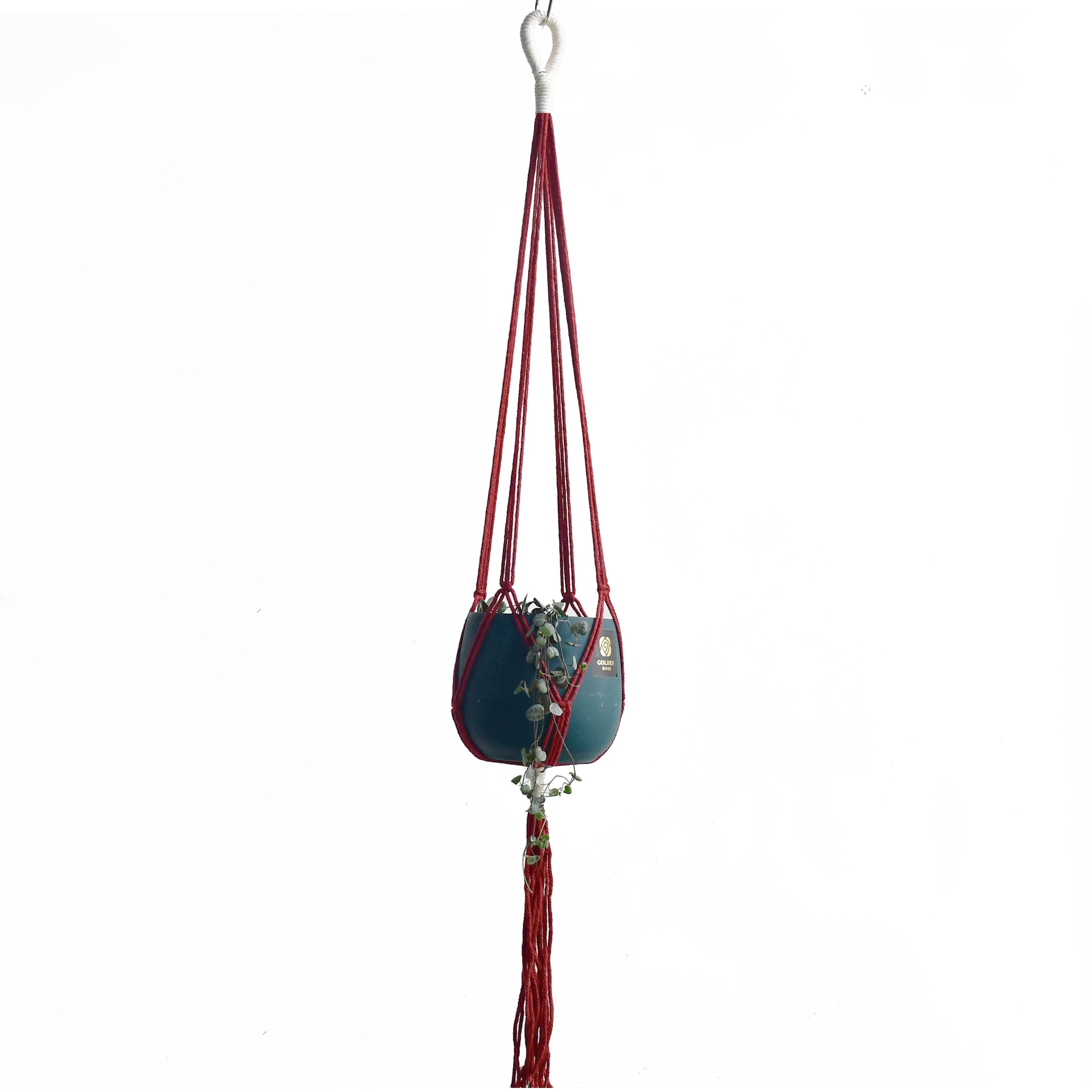 Handmade Plant Hanger