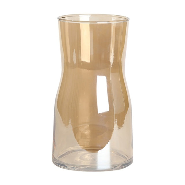 Stylish Glass Vase for Dried Flowers