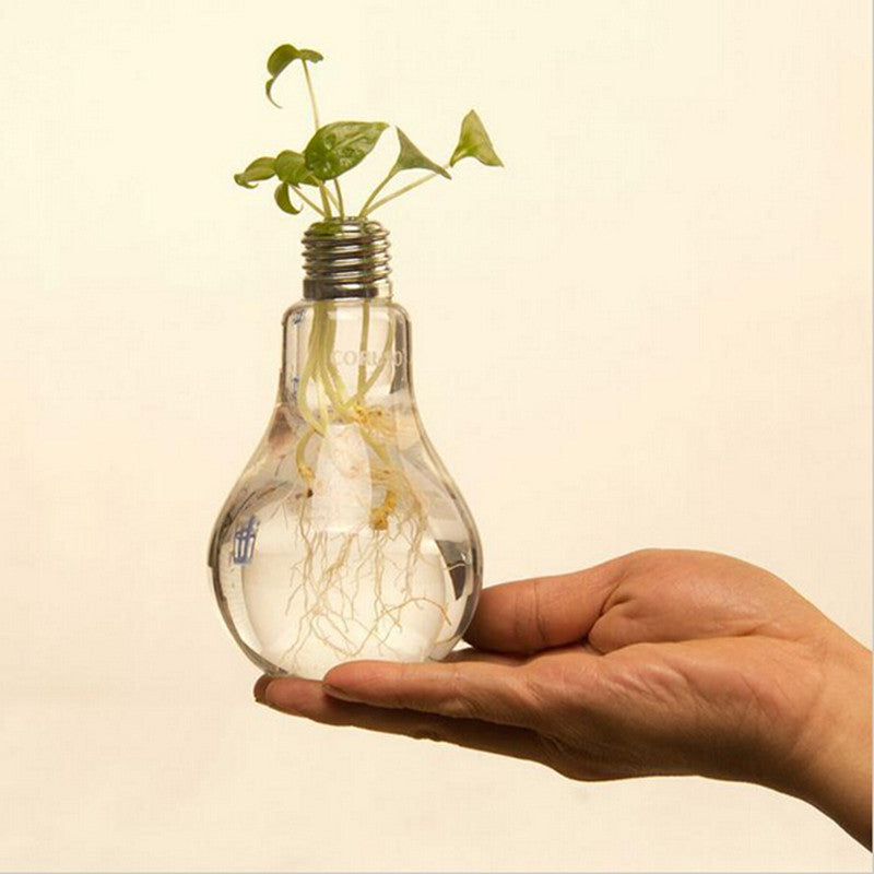 Light Bulb Transparent Glass Hydroponic Flower Vase