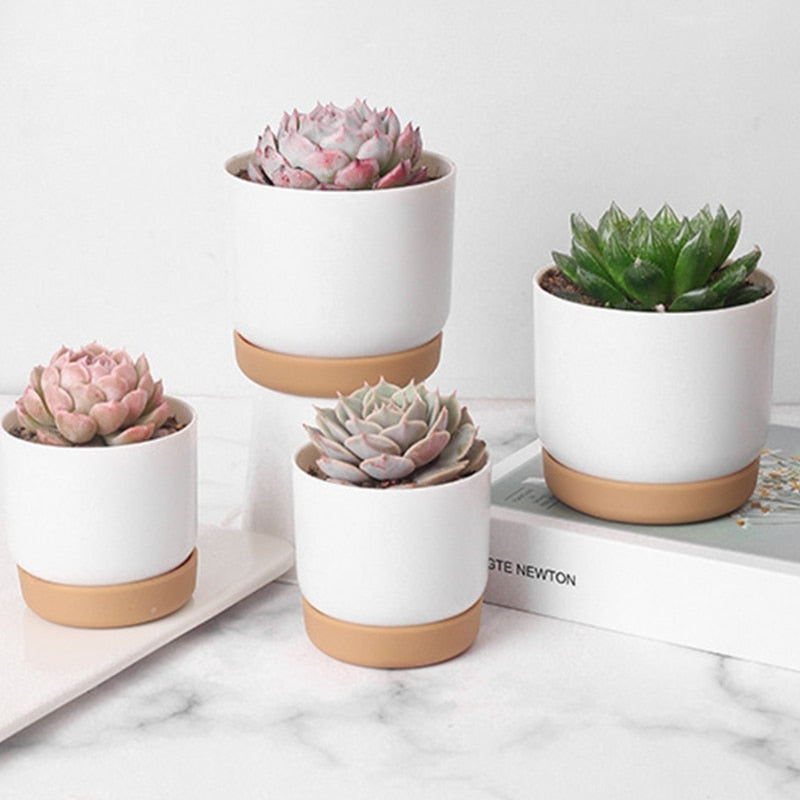 Cute Small White Flower Pots