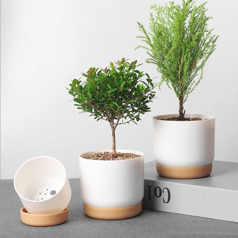 Cute Small White Flower Pots