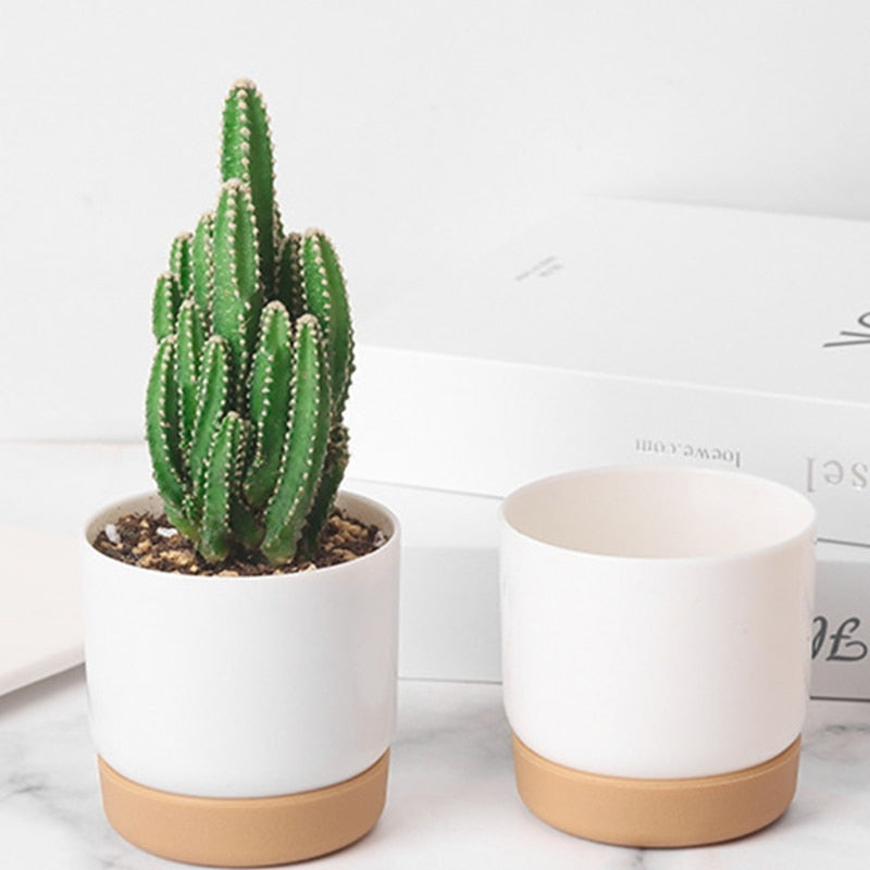 Cute Small White Flower Pots