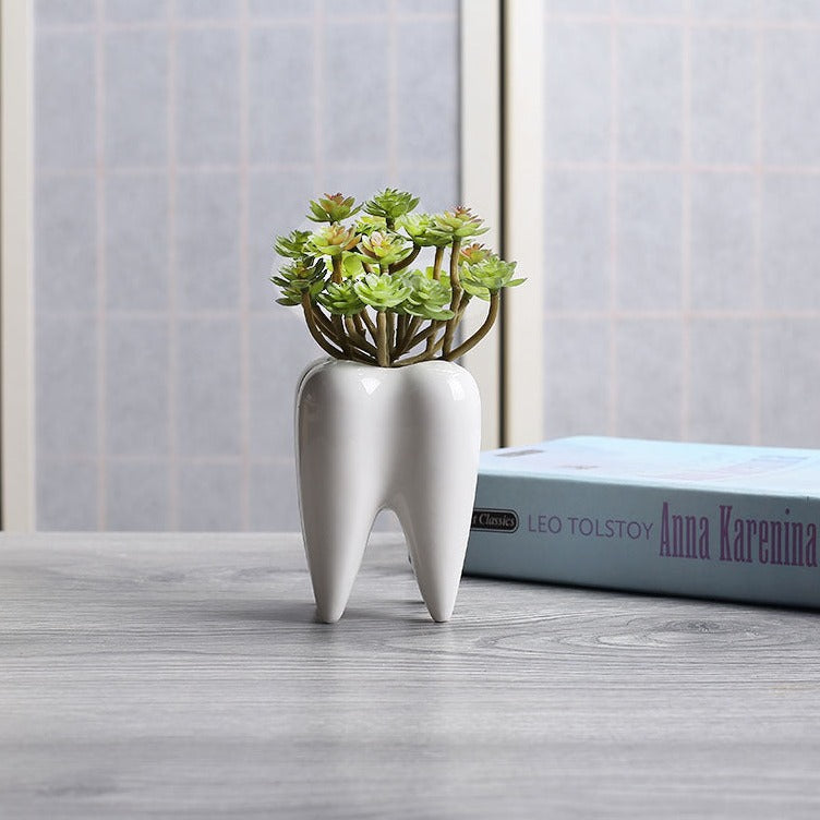 succulent toothbrush holder Tooth Shape White Ceramic Flower Pot Modern Planter Holder Desktop Decor ±
