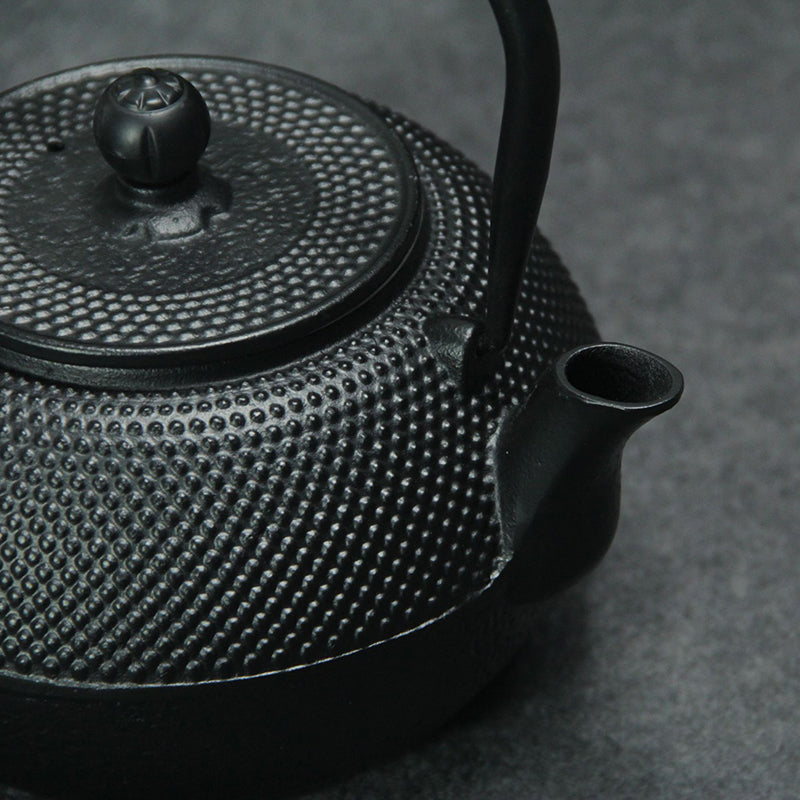 Japanese Cast Iron Teapot with Stainless Steel Infuser