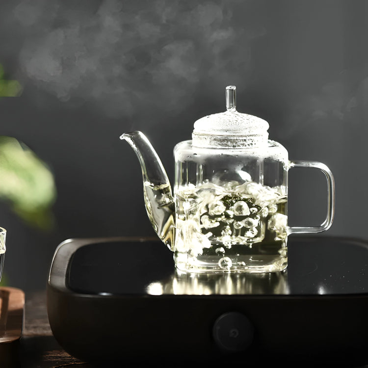 Japanese Heat Resistant Glass Teapot With Filter