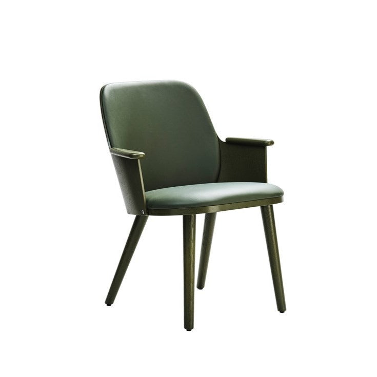 SANDER Chair F21 green leather, green frame