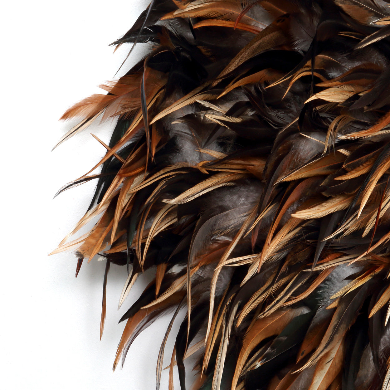THE COASTAL JUJU - Black-Brown-Large macro feather view