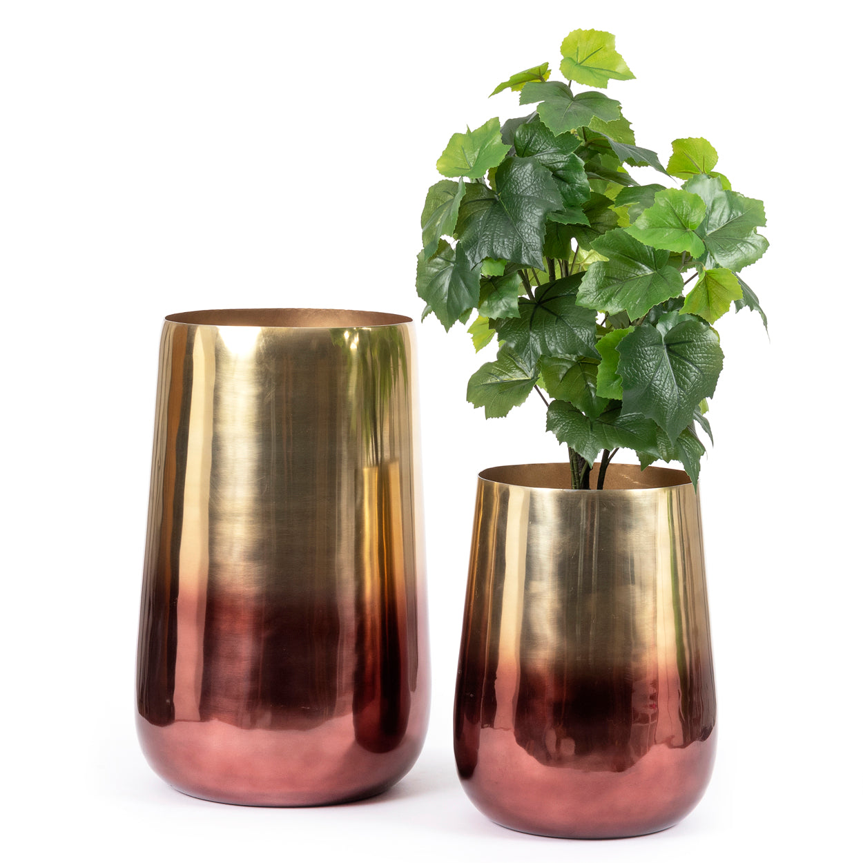 THE TWO TONE Brass Planter wto pieces with plant