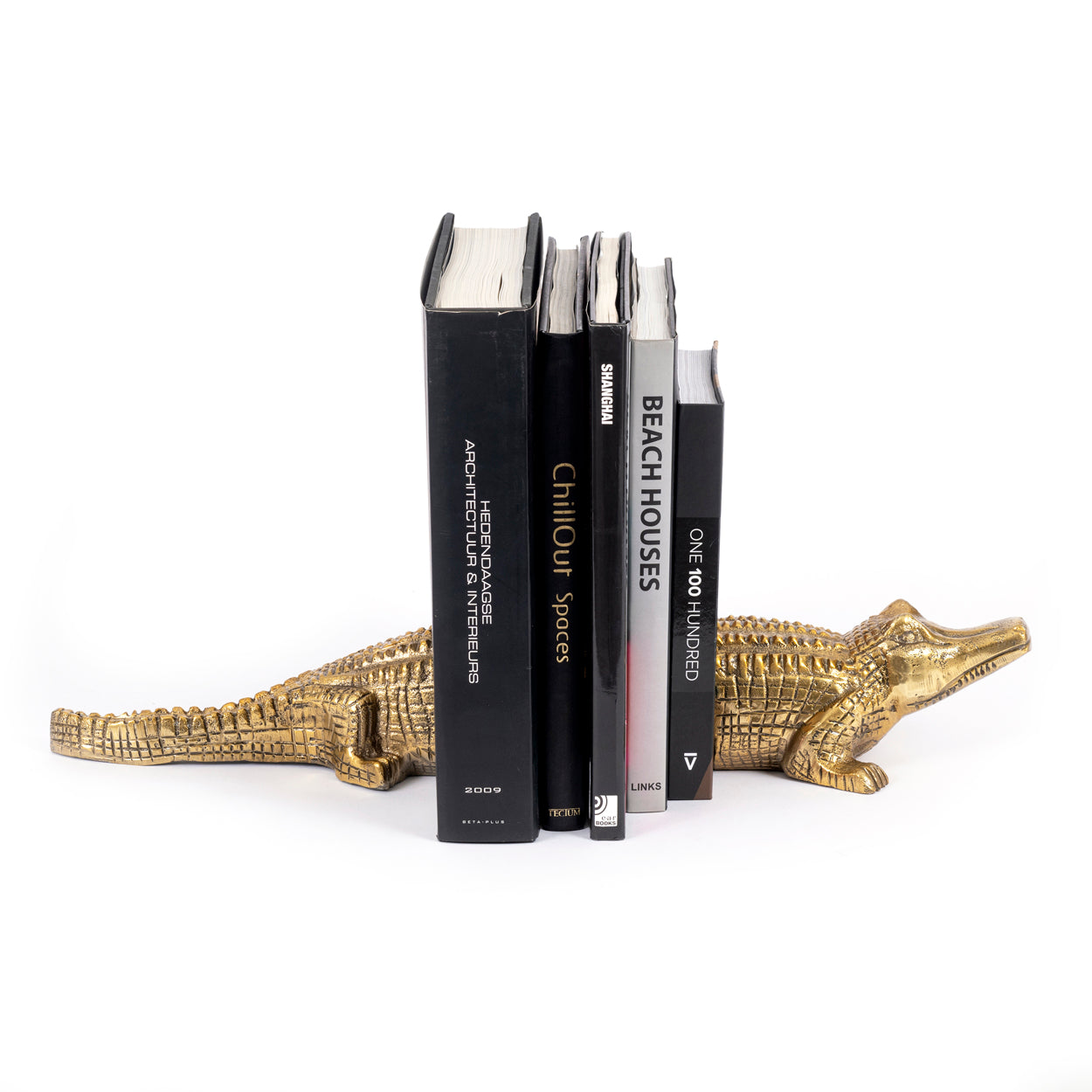 THE CROCODILE Book Stand with books