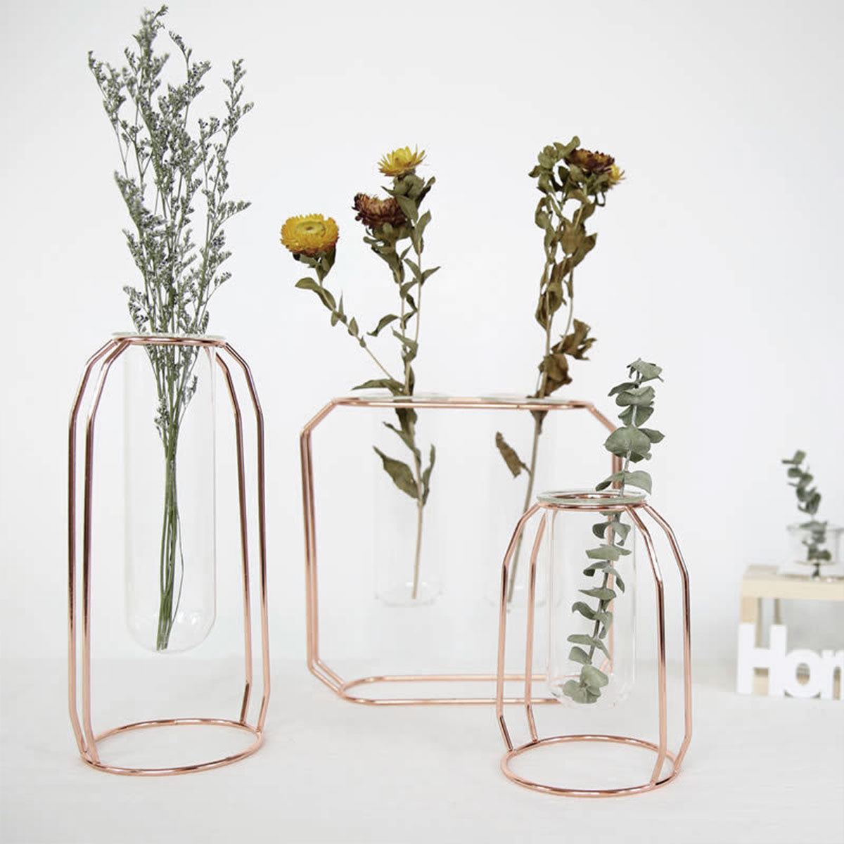 Hydroponic Vase for Home Decor with Iron Holder