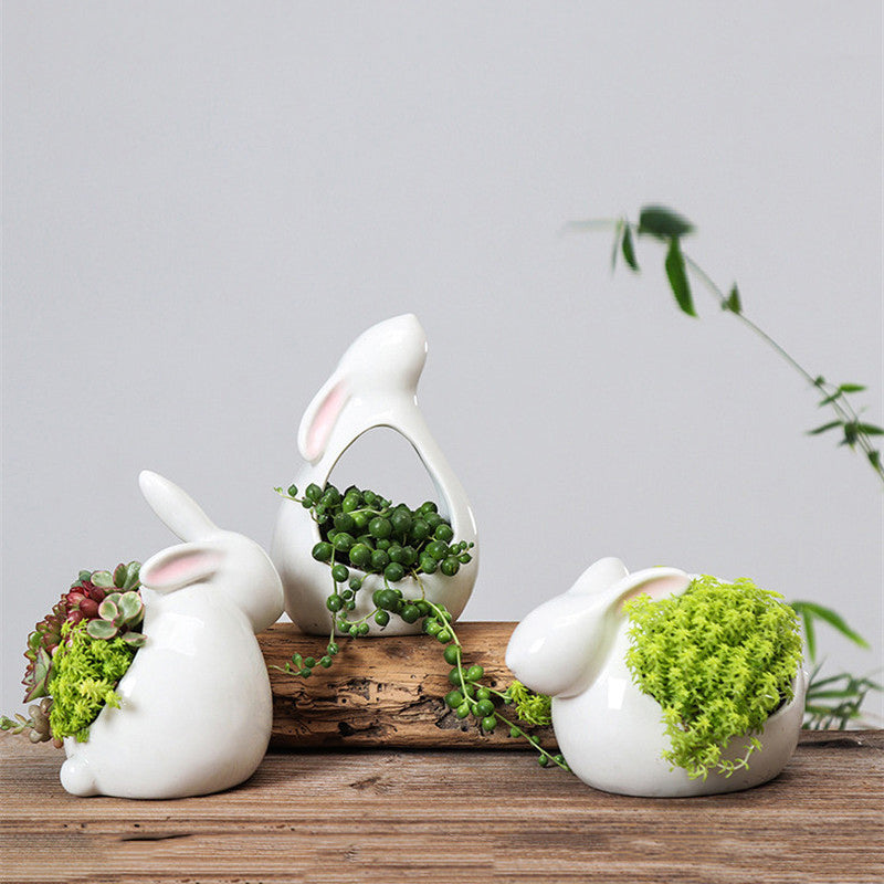 Cartoon Rabbits Flowerpot Succulents