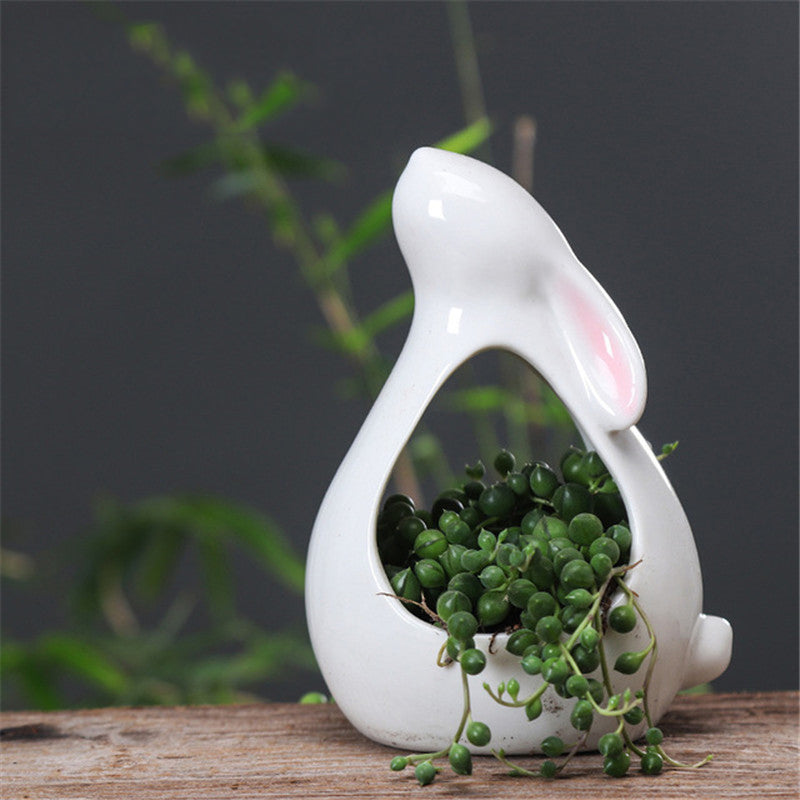 Cartoon Rabbits Flowerpot Succulents