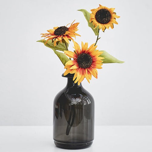 Nordic Black Glass Vases for Living Room Decor