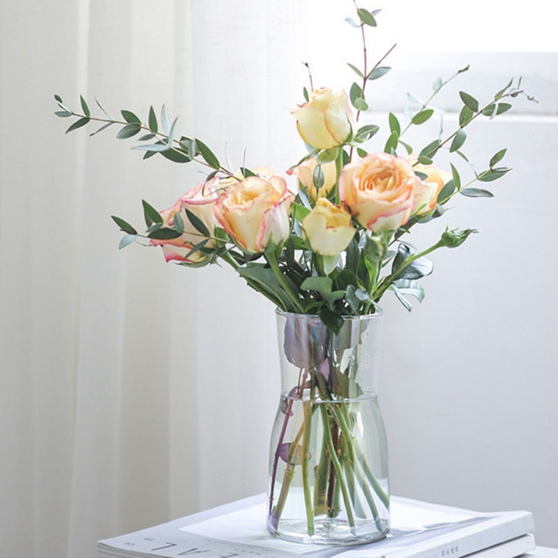 Stylish Glass Vase for Dried Flowers