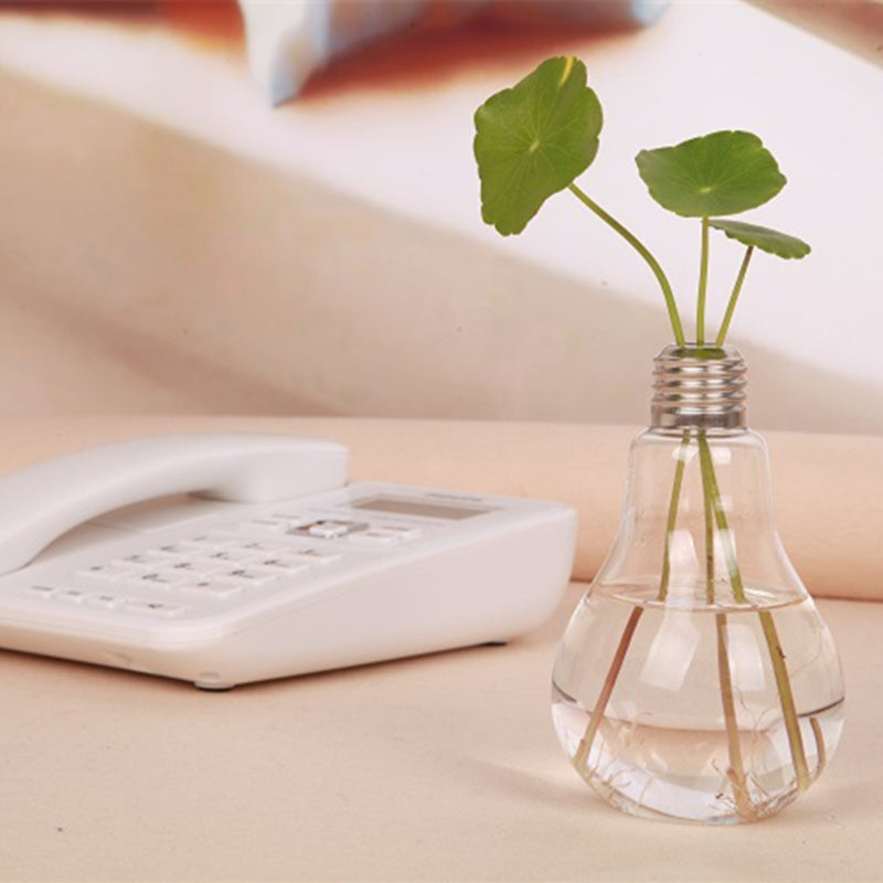 Light Bulb Transparent Glass Hydroponic Flower Vase