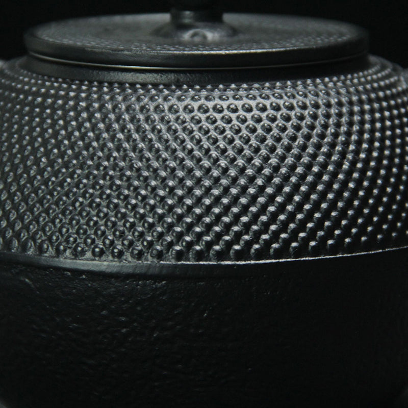 Japanese Cast Iron Teapot with Stainless Steel Infuser